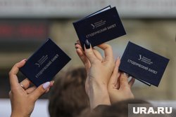 Абитуриенты чаще всего поступают на информационные технологии и педагогику