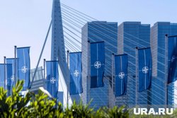 Заседание НАТО по Украине в Гааге не состоится