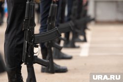 Грузию за закрытыми дверями призывали отправить военных на Украину