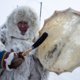 Умолкающие бубны Ямала: почему на Крайнем Севере исчезают шаманы