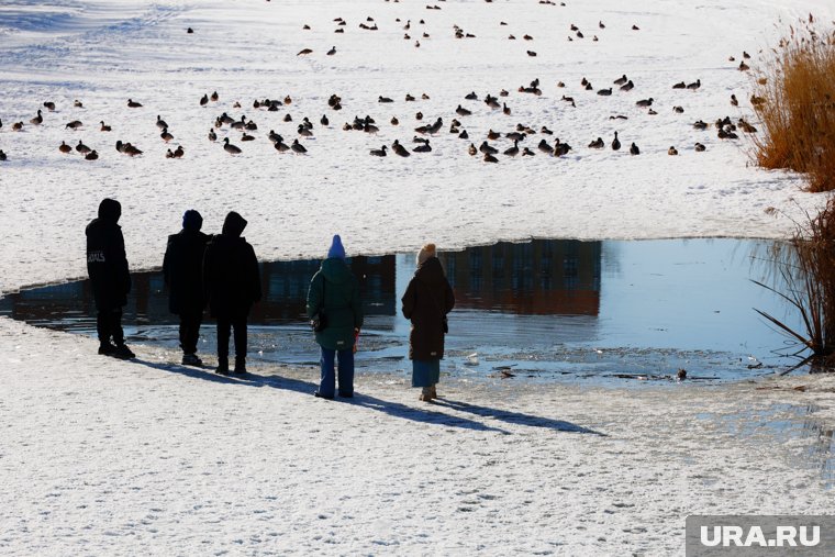 Лед на дорогах днем превратится в лужи