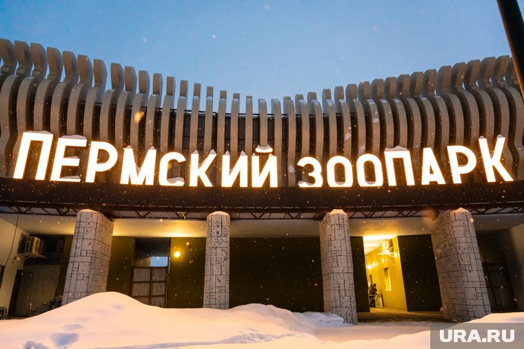 Увитеть козлят можно будет после открытия нового зоопарка