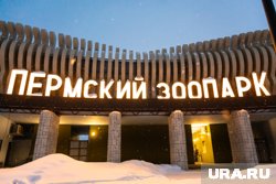 Увитеть козлят можно будет после открытия нового зоопарка