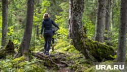 Самое важное при потере в лесу - не паниковать