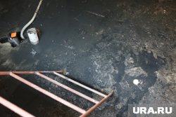 О проблеме жители сообщали еще в 2024 году