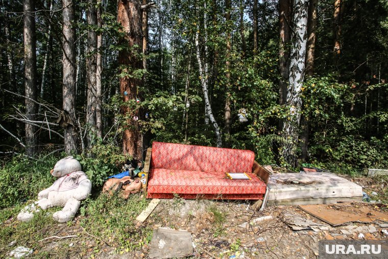 Подрядчик в ходе уборки лесной свалки допустил много нарушений (архивное фото) 