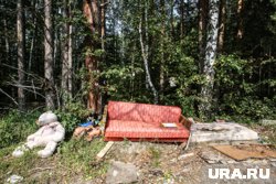 Подрядчик в ходе уборки лесной свалки допустил много нарушений (архивное фото) 