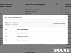 Налоговых правонарушений у компании нет