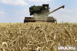 Более 10 млн рублей направят на решение кадровых вопросов в агропромышленном секторе Курганской области