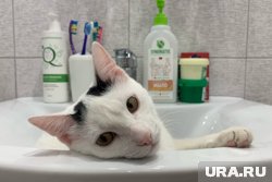 Отключение воды начнется 16 и 17 июня