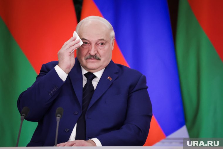 Лукашенко призвал к изменениям из-за ситуации с падежом скота в Белоруссии
