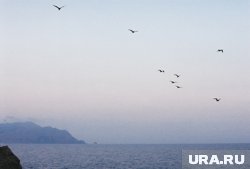ВСУ запустили по акватории Черного моря три ракеты «Нептун», все они были сбиты