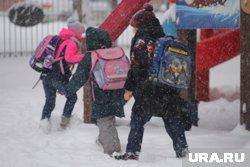 Очные занятий в школах отменяют по принятой температурной шкале, но родители в непогоду вправе оставить ребенка дома