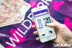 Новым доменом Wildberries стал WIBES.COM