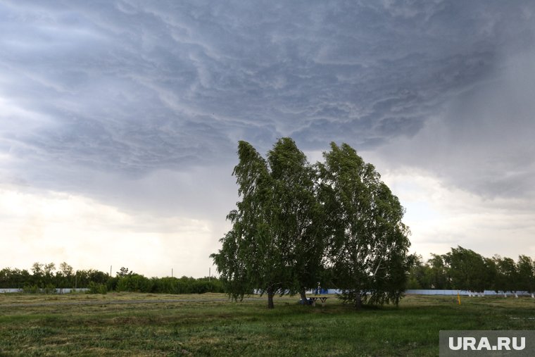 В Кургане будет 24 градуса тепла