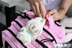 Россияне скупают Лабубу на маркетплейсах