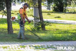 Котова отметила плохое качество покоса травы во дворах 