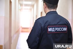 МВД сообщают о задержании организатора финансовой пирамиды «Френдекс»