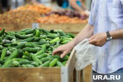 В Курганской области подорожали огурцы, но подешевели лук и картофель