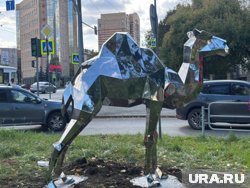 Верблюд будет стоять на мраморной крошке