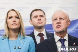 Авторами проекта стали лидер СЗРП Сергей Миронов и председатель думского комитета Яна Лантратова