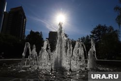 На текущей неделе практически не будет дождей