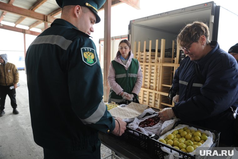 Сотрудники таможни и Россельхознадзора проверяют ввезенную продукцию (фото из архива)