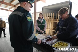 Сотрудники таможни и Россельхознадзора проверяют ввезенную продукцию (фото из архива)