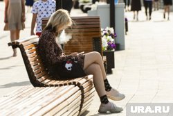 Сроки введения запрета на продажу вейпов и электронных сигарет в регионе не уточняются