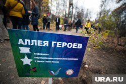 Аллеи памяти героев обустраиваются во многих городах России (архивное фото)  