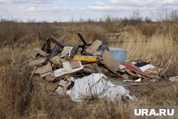 К 2030 году планируют увеличить площадь очищенных территорий до 86,7 гектаров