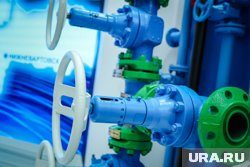 Путин заявил о росте уровня газификации в России до 75%