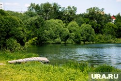 Берег водоема благоустраивают