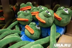 Суд признал экстремистской картинку с лягушонком Пепе в радужном парике