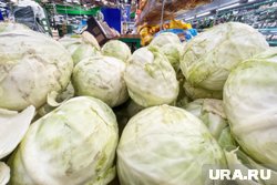 В Курганской области дешевеют овощи и фрукты
