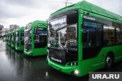 С 1 августа на маршруты выйдeт 13 новых автобусов-«гармошек» Volgabus