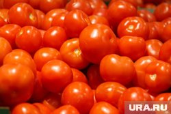 Помидоры подорожали на 45,1% в Курганской области