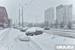 В историю метеонаблюдений апрель вошел благодаря самому сильному снегопаду в XXI веке
