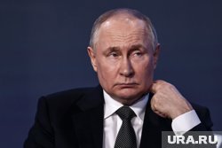 Владимир Путин поддержал идею Трампа о перемирии с Украиной,  но затронул ряд нюансов