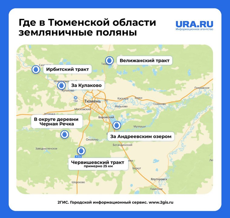Карта ягодных мест в окрестностях Тюмени
