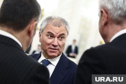 Председатель Госдумы назвал чайлдфри социально опасным явлением