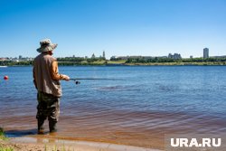В ГД предложили увеличить отпуск для предпенсионеров