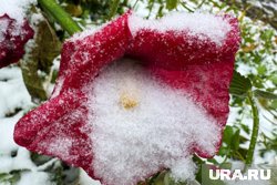 Первые ощутимые заморозки начинаются в октябре
