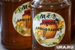 Гастроэнтеролог предупредил о противопоказаниях к употреблению меда