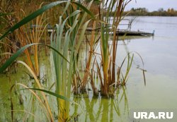 Вода сразу в трех челябинских озерах приобрела необычный цвет