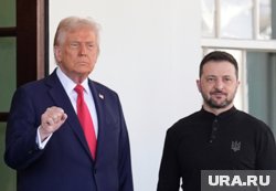 Американцы доверяют Зеленскому больше, чем Трампу