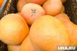 Среди ввозимой продукции фрукты составляли 37%