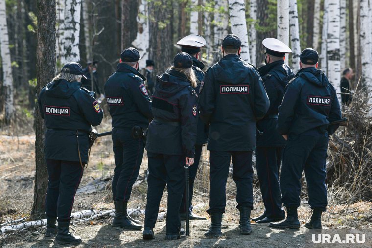 Поиски ведут силовики и волонтеры