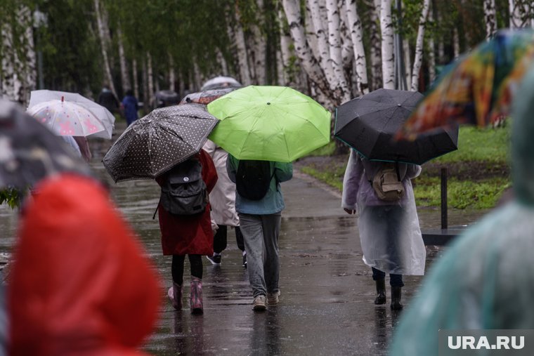 Челябинцев предупредили про сильный ветер, грозы и проливные дожди