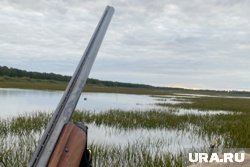 С 15 мая начинается сезон весенней охоты на дичь в Курганской области